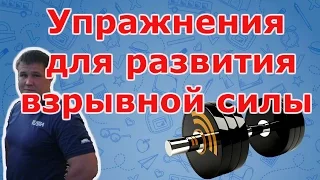 Упражнения для развития взрывной силы и программа на развитие выносливости и силы в бойца Селуянов