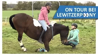 Krasse Pferdetricks mit Lisa 🔥 ON TOUR bei Lewitzerpoony