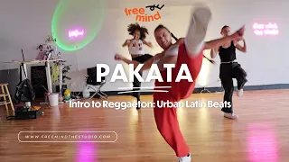 DARELL, EL ALFA - PAKATA / Intro to Reggaeton (Desi Rosa Choreography)