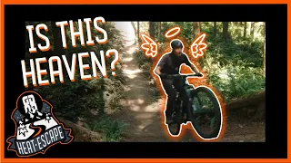 Is This Place Mountain Bike Heaven? - Duthie Hill Mountain Bike Park