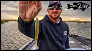 GO-TO LURE: Twitching Weightless Swimbaits for Winter Bass Fishing