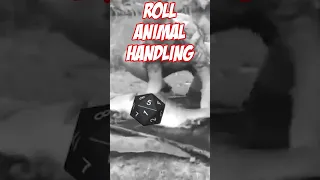 When You Roll A 1 On Animal Handling In D&D