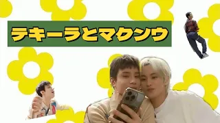 【NCT127 日本語字幕】情報量多すぎたテキーラコンテンツ【マクンウ】