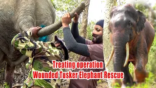 Elephant's Journey to Recovery: Treating Injuries and Illness #thewildelephant #wildliferescue