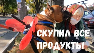 С СОБАКОЙ СКУПИЛ ВСЕ ПРОДУКТЫ. РЕАКЦИЯ НА ЗЕВСА