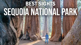 Sequoia National Park Best Sights | Cinematic Video