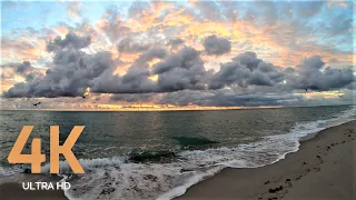 4K RELAXATION ULTRA HD 60 FPS VIDEO CLOUDY SUNRISE IN SOUTH BEACH USA 2019 AΩ