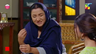 Thora Ghareeb Hai Zahid...Hamare Kon Sa Karkhane Chal Rahe Hain - Ibn-e-Hawwa - HUM TV