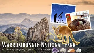 Explore Warrumbungle National Park 🍂//Things To Do //Camp Blackman //Complete guide