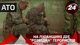 В зоні АТО: на Луганщині діє  "розвідка " терористів
