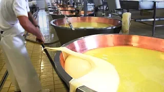 INCREÍBLES MÁQUINAS DE FABRICACIÓN DE QUESO Y SATISFACTORIAS QUE SON DE UN NUEVO NIVEL