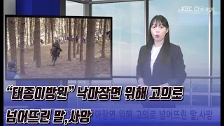 “태종이방원” 낙마장면 위해 고의로 넘어뜨린 말,사망