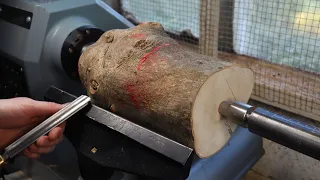 Woodturning - The Holly Surprise.... IT WON'T Disappoint!