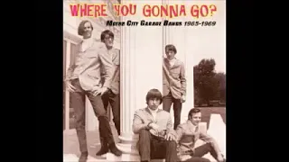 Various – Where You Gonna Go? (Motor City Garage Bands 1965-1969) 60’s Psychedelic Rock R&B Music LP