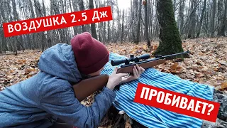 ВОЗДУШКА 2.5 Дж/ПРОБИВАЕТ?