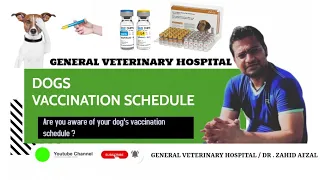 What are Standard Dog Vaccinations | Canine Distemper & Parvovirus Vaccine by Dr Zahid Afzal DVM