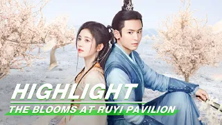 Highlight: Eternal Love! Ju Jingyi ❤ Zhang Zhehan | The Blooms At RUYI Pavilion | 如意芳霏 | iQIYI