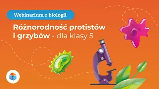 🔸Webinarium z biologii | Różnorodność protistów i grzybów | Klasa 5 🔸