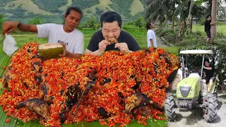 AYAM NERAKA !! CABE HIYUNG INI KAYAKNYA LEBIH MENYENGAT DARI CAROLINA REAPER !!