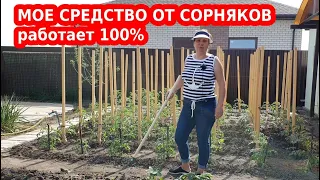 ЛУЧШЕЕ СРЕДСТВО ОТ СОРНЯКОВ. Как удалить сорняки с огорода без химии