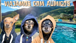 VIAGEM PET FRIENDLY COM AMIGOS para o RIO DE JANEIRO