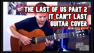 The Last of Us Part 2 It can't last GUITAR cover