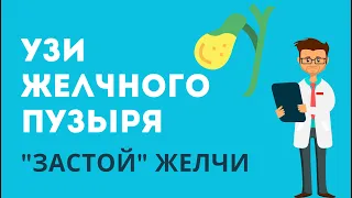 УЗИ желчного пузыря. Изменение плотности желчи (смешание пузырной и печеночной желчи)