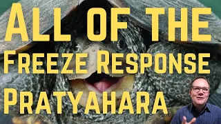 All of the Freeze Response - Pratyahara - Yogi Explains