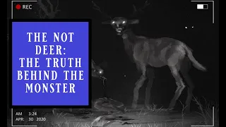 The Truth Behind The Not Deer