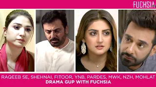 Fitoor | Raqeeb Se | Shehnai | Neeli Zinda Hai | Mohlat | Pardes | MWK | YNB |Drama Gup with FUCHSIA