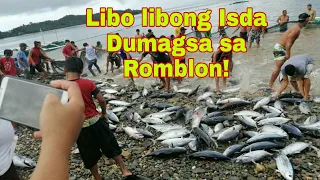 Libo libong tuna ang dumagsa sa baybayin ng Romblon