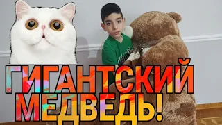 ОБЗОР ГИГАНТСКОГО, ПЛЮШЕВОГО МЕДВЕДЯ!