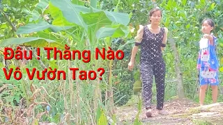 Bẫy cu đang gù hấp dẫn thì Chủ Vườn ra và cái kết Toang