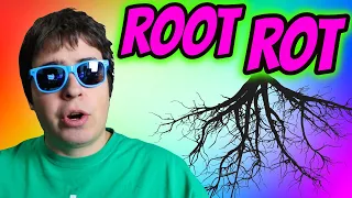 DEALING WITH ROOT ROT AND HOW TO AVOID IT!