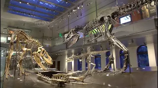 Recorrido virtual de la Sala de Dinosaurios | Dinosaur Hall Virtual Tour #dinosaurs #espanol