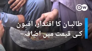 طالبان کا اقتدار، افیون کی قیمت میں اضافہ | DW Urdu