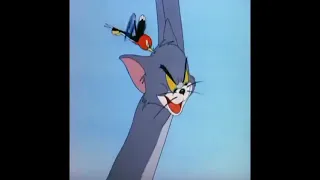 Tom and Jerry( hatch up your troubles) comedy scene