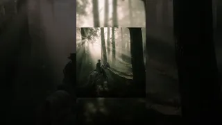 The Beauty of RDR2