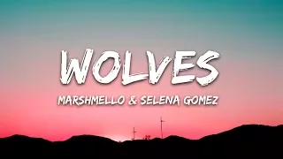 Selena Gomez, Marshmello - Wolves (Lyrics)