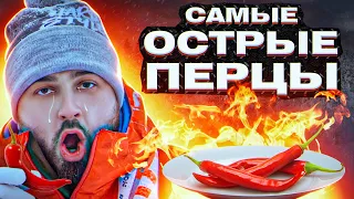 HARD PLAY ПРОБУЕТ ТОП 5 САМЫХ ОСТРЫХ ПЕРЦЕВ! 🌶ПОЛНАЯ ЖЕСТЬ!