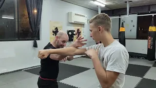 Hung Gar - Tiger claw use