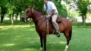 Como andar a caballo