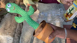 Entertainment with Dancing cactus unbelievable unboxing