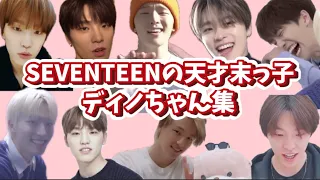 【SEVENTEEN 日本語字幕】SEVENTEENの天才末っ子 ディノちゃん集