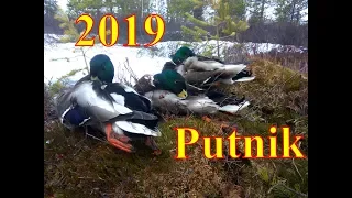 Весенняя охота 2019 г.