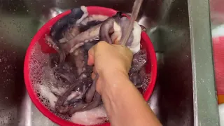 Como hervir y hacer un pulpo con coco al estilo panameño