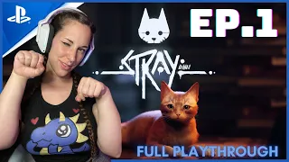 CAT, IM A KITTY CAT 🐈 | STRAY - Ep.1
