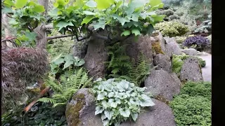 Japonská zahrada v Polsku