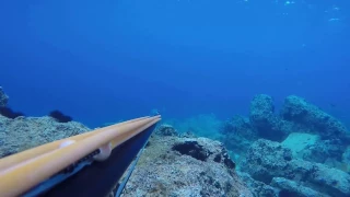 Spearfishing mix Croatia