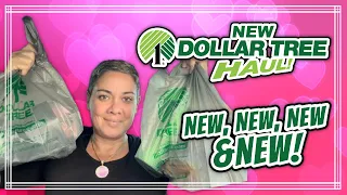 *** NEW Dollar Tree Haul *** NEW NEW NEW! 2/11/24